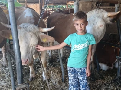Luka ponekad pomaže i u staji