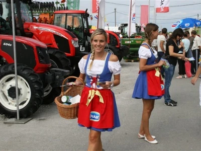 Dukatove hostese