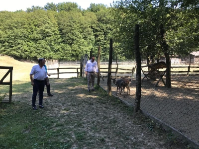 BKL najbolji zastupnik Maschio Gaspardo Grupe