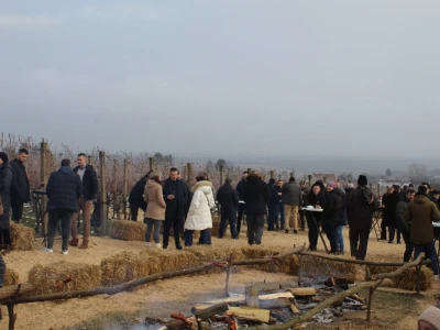 Blagdan sv. Vinka pokušalište u Mandićevcu FAZOS