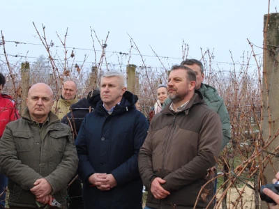 Blagdan sv. Vinka pokušalište u Mandićevcu FAZOS