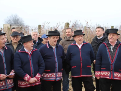 Blagdan sv. Vinka pokušalište u Mandićevcu FAZOS
