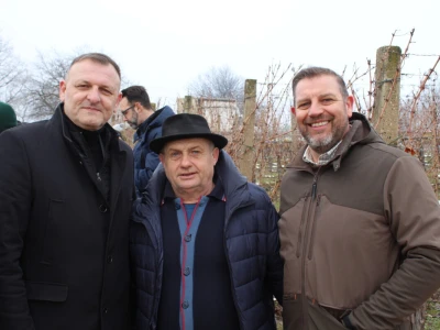 Blagdan sv. Vinka pokušalište u Mandićevcu FAZOS