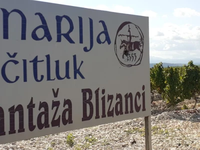 Blaž Enelogy - priča o blatini i žilavki