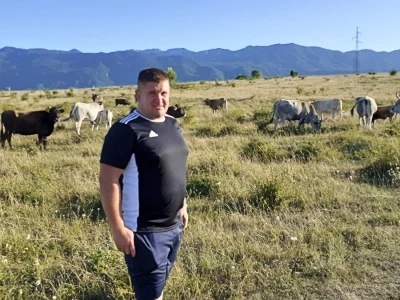 Boškarini u Lici