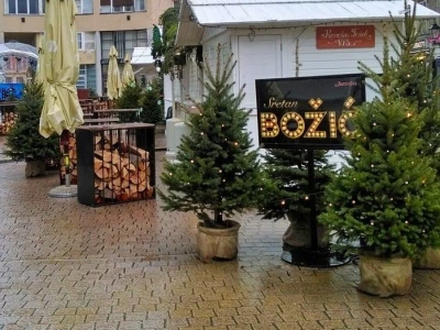 Božićna drvca