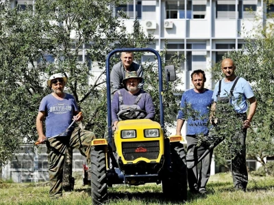 BRANITELJSKE SOCIJALNO-RADNE ZADRUGE PAUK-ČEKA I VRLIČANKA