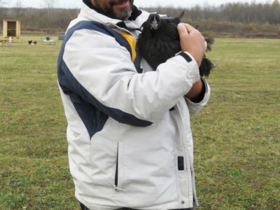 Branko Kurtović