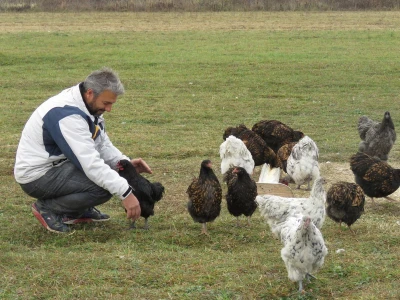 Branko Kurtović