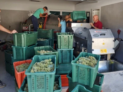 Nova vinarija