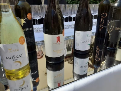 Bregovita Hrvatska - Decanteri