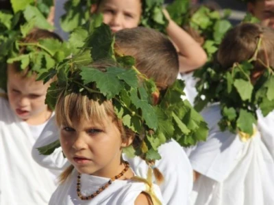 Dani grožđa u Bujama 2015