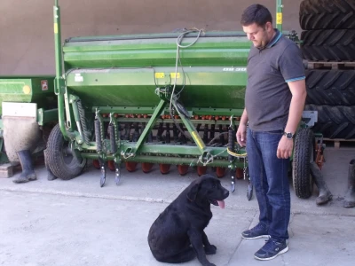Labradorka spremna za lov