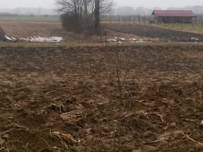 Đurići - na njivama leži voda