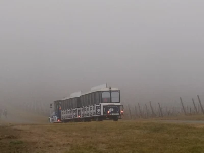 ...ali i turističkim vlakićem.