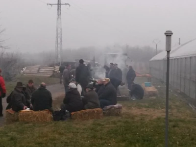 Roštiljalo se na svakom koraku