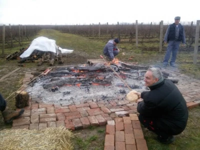 Što ispečeš, to ćeš i pojesti