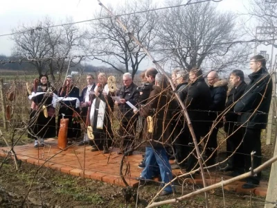 Blagoslov vinograda
