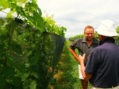 Čegec u obiteljskom vinogradu