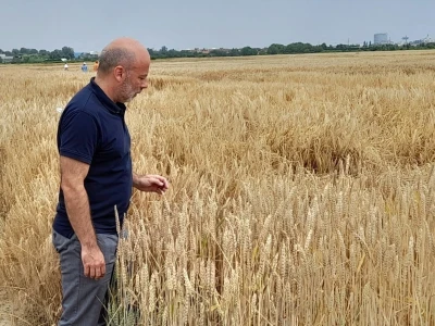 Centar za sjemenarstvo i rasadničarstvo Hrvatske agencije za poljoprivredu i hranu
