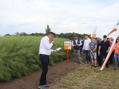 Centralni Dan polja i proslava 20 godina KWS-a