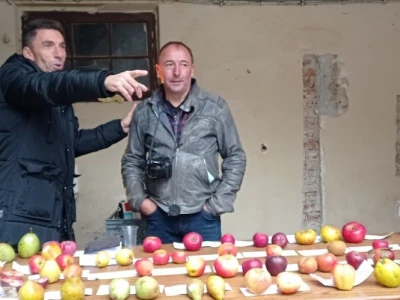 Cernik 2021: Izložba starih sorti voća i povrća