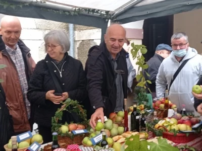 Cernik 2021: Izložba starih sorti voća i povrća