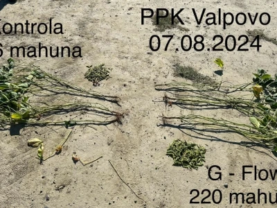 Chromos Agro soja