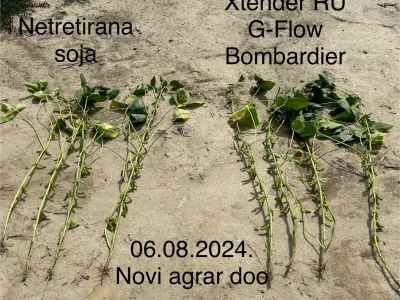 Chromos Agro soja