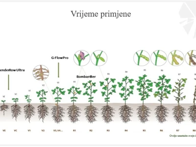 Chromos Agro soja
