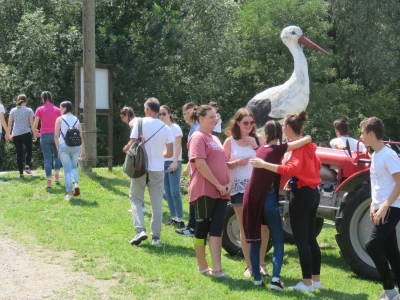 Čigoč