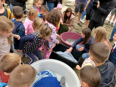 Čiko, Maya i Alen nakon rehabilitacije vraćeni u more