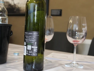 Čista vina - vina bez kompromisa