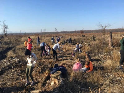 CO2mpensating by Planting