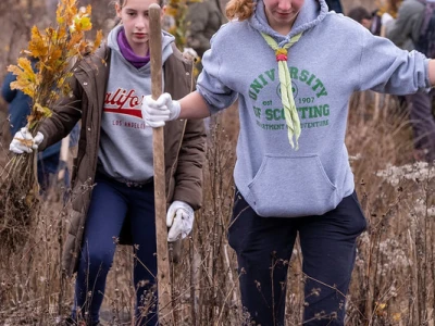 CO2mpensating by Planting