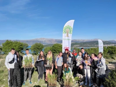 CO2mpensating by Planting