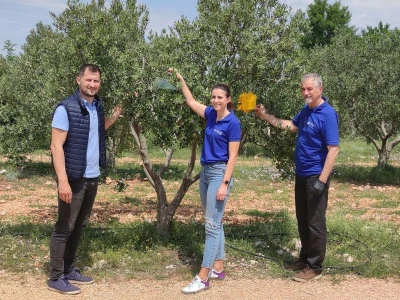 COLIC - TRADE:  Colićeve lovke za štetnike: Platiš 30 dobiješ 263 eura!