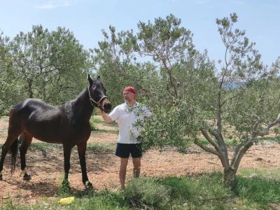 COLIC - TRADE:  Colićeve lovke za štetnike: Platiš 30 dobiješ 263 eura!