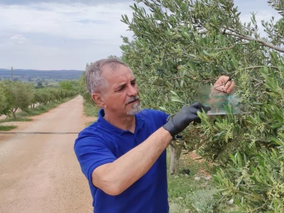COLIC - TRADE:  Colićeve lovke za štetnike: Platiš 30 dobiješ 263 eura!