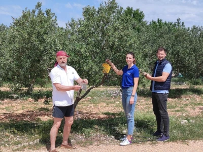 COLIC - TRADE:  Colićeve lovke za štetnike: Platiš 30 dobiješ 263 eura!