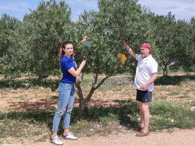 COLIC - TRADE:  Colićeve lovke za štetnike: Platiš 30 dobiješ 263 eura!