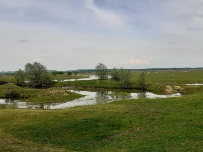 Crna roda u Osekovu