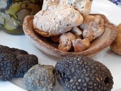 Crni tartufi - Turopolje
