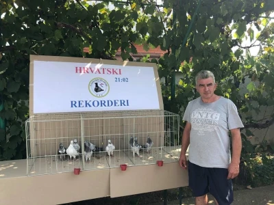 Croatia tiplerska udruga
