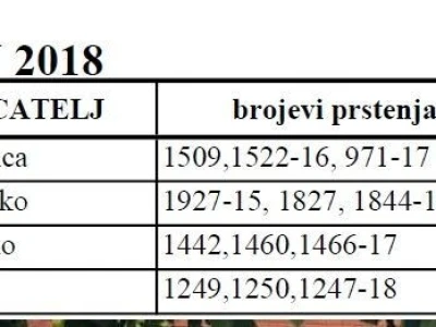 Croatia tiplerska udruga