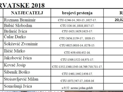 Croatia tiplerska udruga