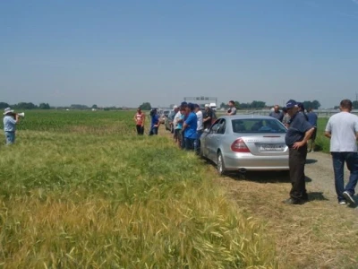 Syngenta zaradionica