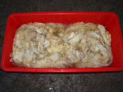 Od ovce do čarape