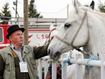 Đakovo Expo Zlatne ruke
