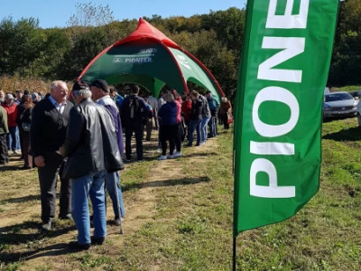 Dan polja Pioneer Križevci
